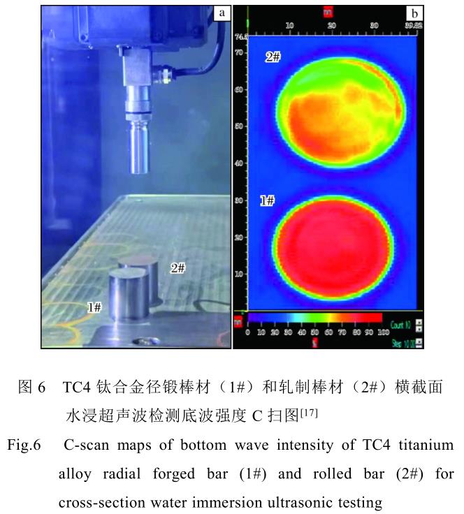 钛合金棒的组织和织构对超声波检测信号的影响