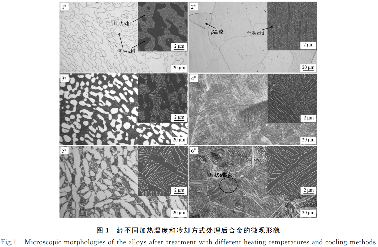 面向航空航天紧固件应用的TC11钛合金在960℃/1000℃加热及水冷/空冷/炉冷三种冷却方法下的微观组织演变——展现冷却速率对相变机制的影响，，，，，明确空冷单相区工艺强度最优，，，，，为工业化热处置惩罚提供实验依据