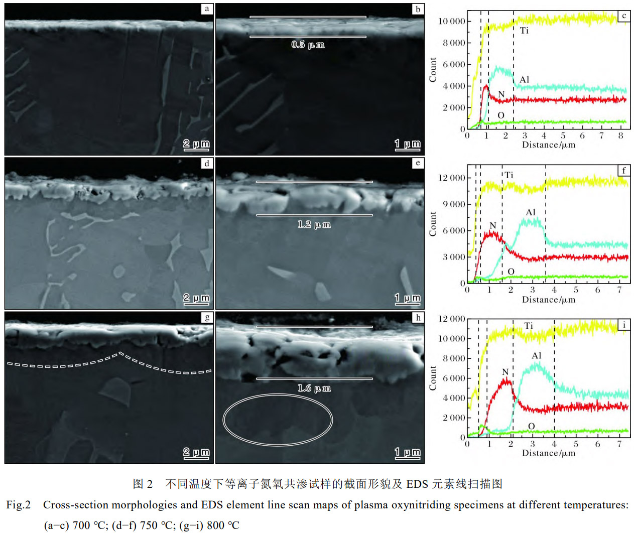 突破TC4钛合金外貌耐磨性能瓶颈：等离子氮氧共渗工艺在700-800℃制备复合渗层，，，，，，，通过温度精准调控实现渗层结构优化，，，，，，，耐磨性能显著增强，，，，，，，阻止基体直接磨损，，，，，，，为钛合金外貌改性提供高效可行的手艺计划