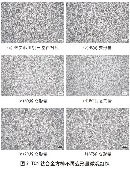 截图20251129120437.png
